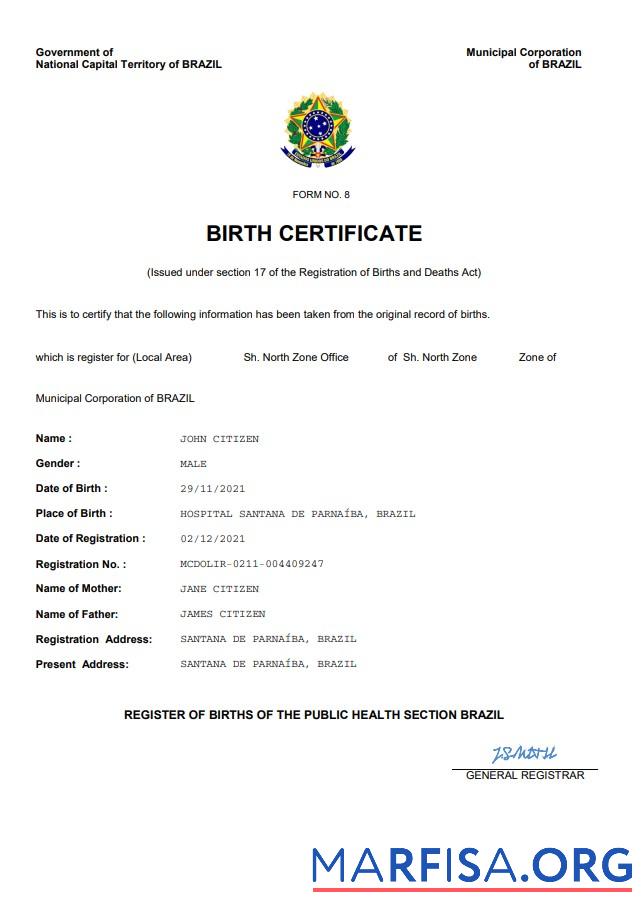 Blank Brazil vital record birth certificate Word and PDF template